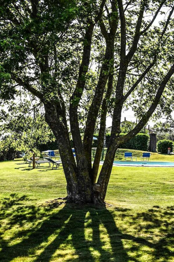 Agriturismo Bella Cima Montefiascone Dış mekan fotoğraf
