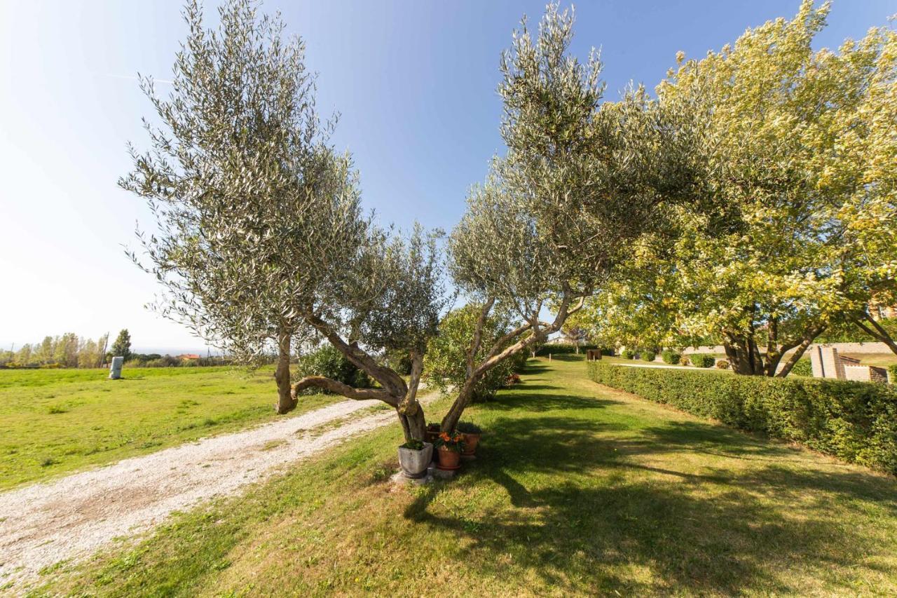 Agriturismo Bella Cima Montefiascone Dış mekan fotoğraf
