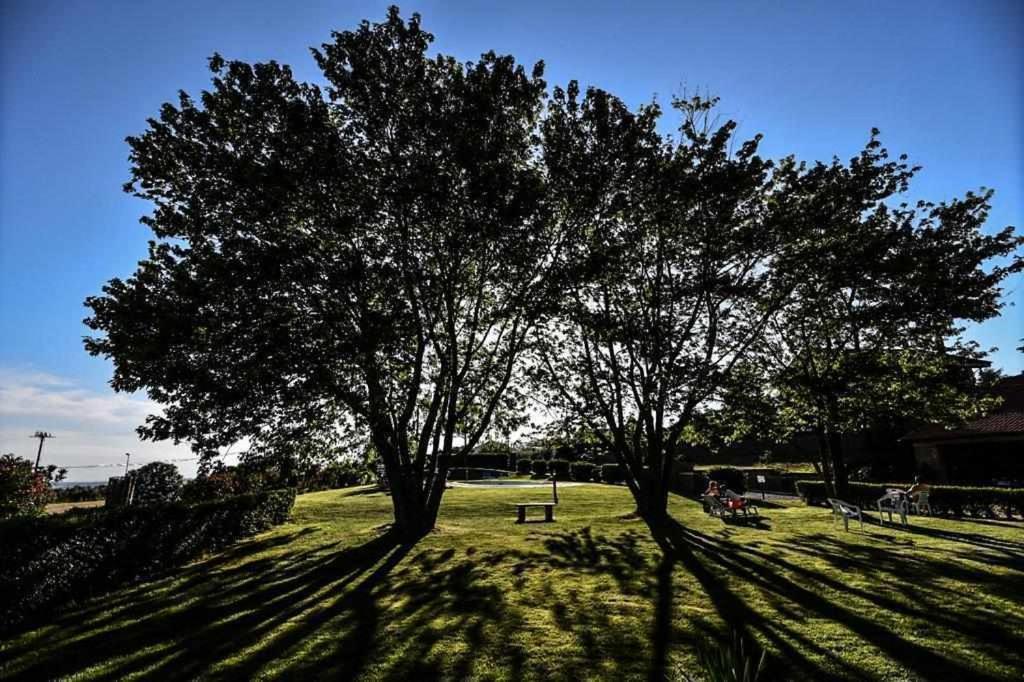 Agriturismo Bella Cima Montefiascone Dış mekan fotoğraf